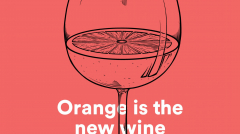 leotremaine-groundcontrol-orangeisthenewwine