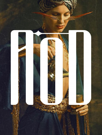 artofdiucelu-logo-cover